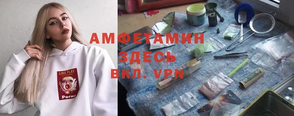 сатива Волосово