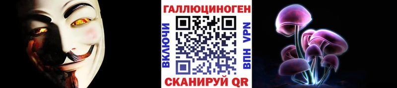 Псилоцибиновые грибы Cubensis  Купить  Владивосток 